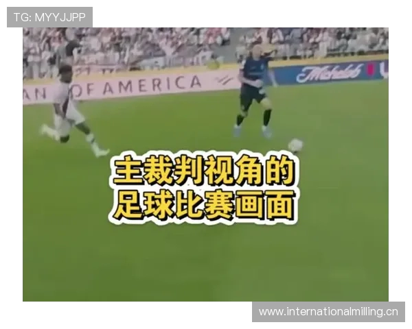 世俱杯18决赛裁判误判引争议 博塔弗戈球员手球漏判成焦点 世俱杯18决赛裁判误判引争议 博塔弗戈球员手球漏判成焦点